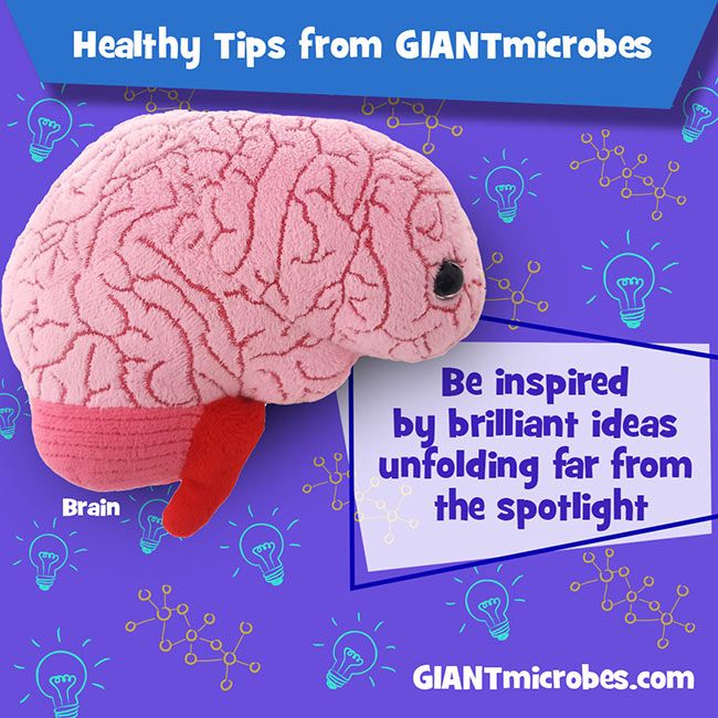 Brain Organ Giant Microbes Plush