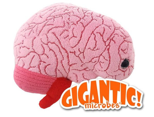 Brain Organ Deluxe Giant Microbes Plush