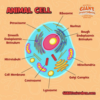 Animal Cell Giant Microbes Plush