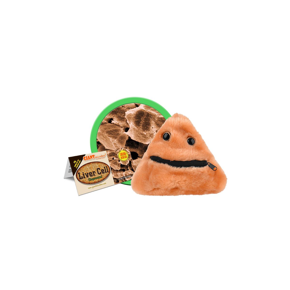 Liver Cell (Liver Disease) Reversible Giant Microbes Plush