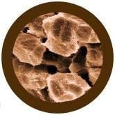 Liver Cell (Liver Disease) Reversible Giant Microbes Plush