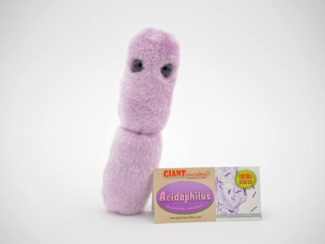 Acidophilus (Lactobacillus acidophilus) Giant Microbes Plush