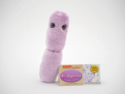 Acidophilus (Lactobacillus acidophilus) Giant Microbes Plush