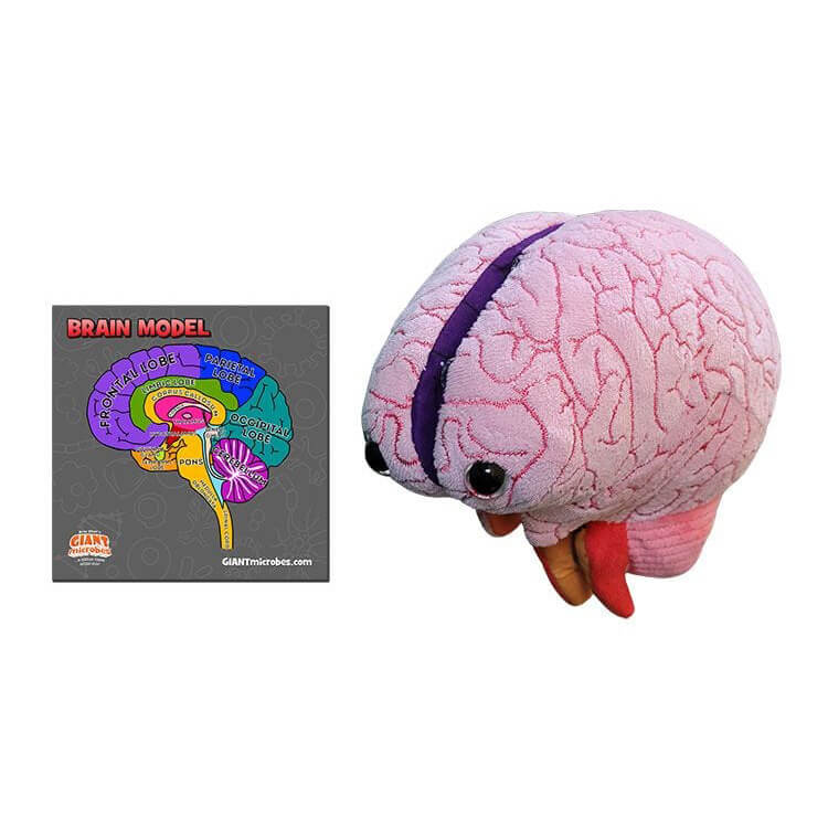 Brain Model Giant Microbes Plush