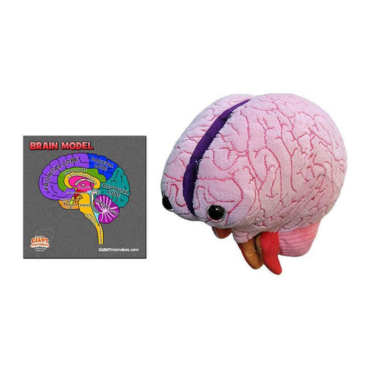 Brain Model Giant Microbes Plush