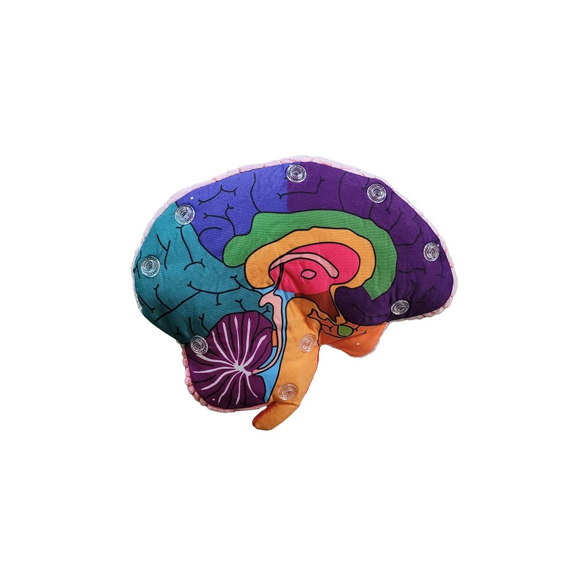 Brain Model Giant Microbes Plush