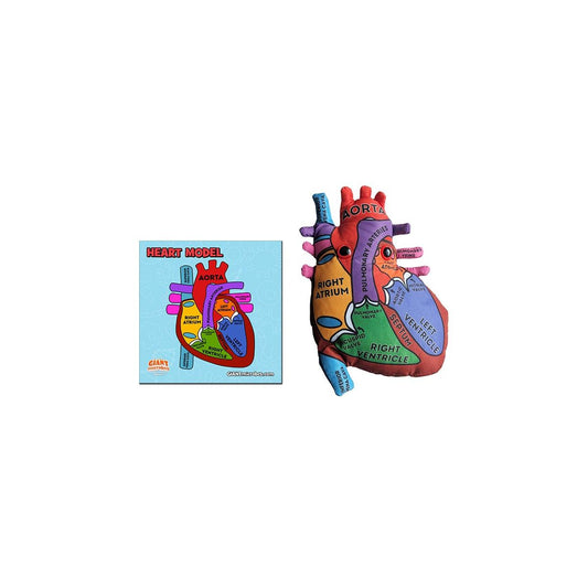 Heart Model Giant Microbes Plush
