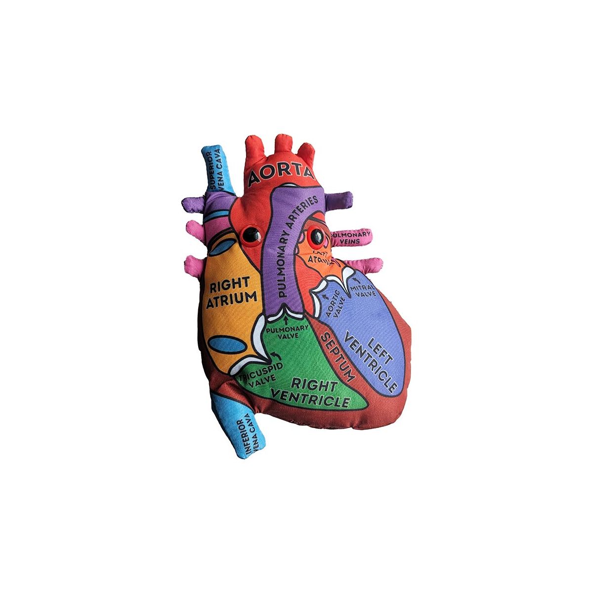 Heart Model Giant Microbes Plush