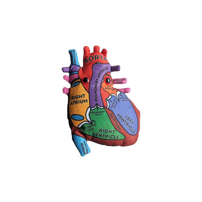 Heart Model Giant Microbes Plush