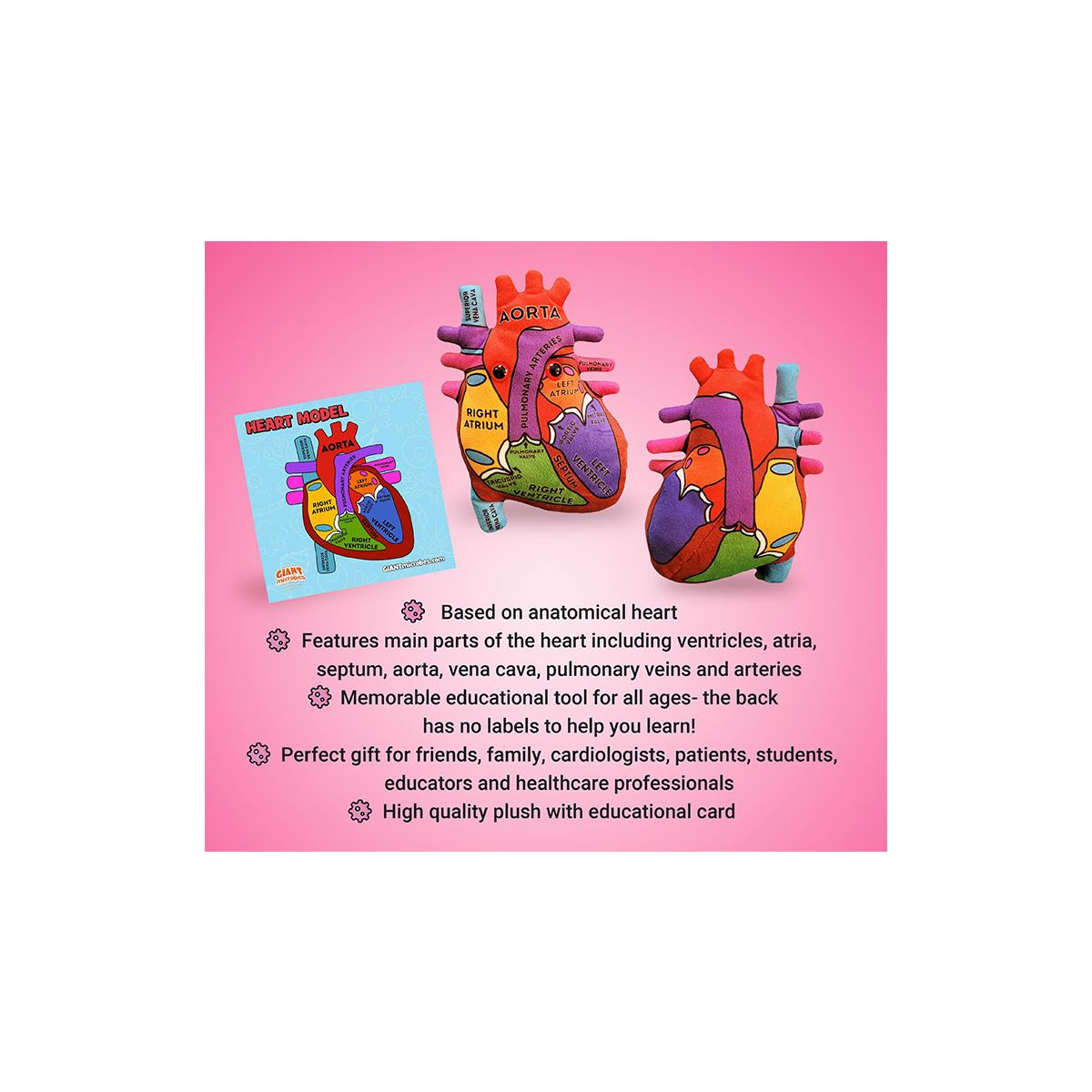 Heart Model Giant Microbes Plush