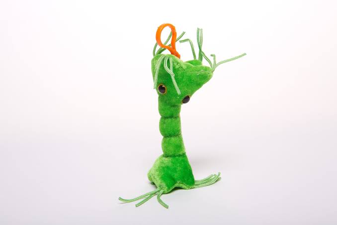 Nerve Cell (Neuron) Giant Microbes Plush Keychain