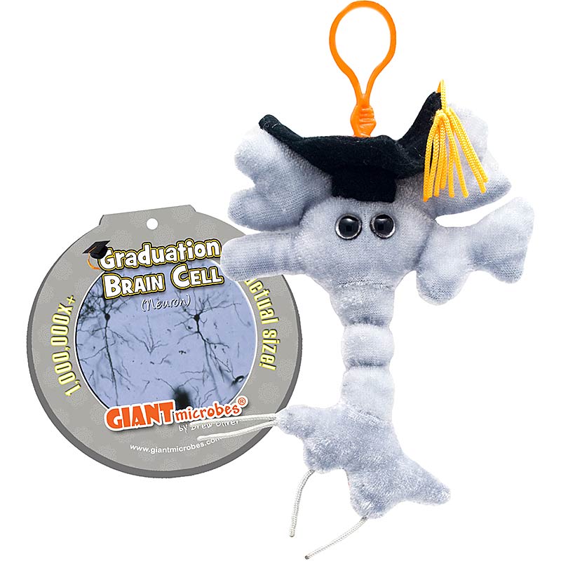 Gradutation Brain Cell (Neuron) Giant Microbes Plush Keychain