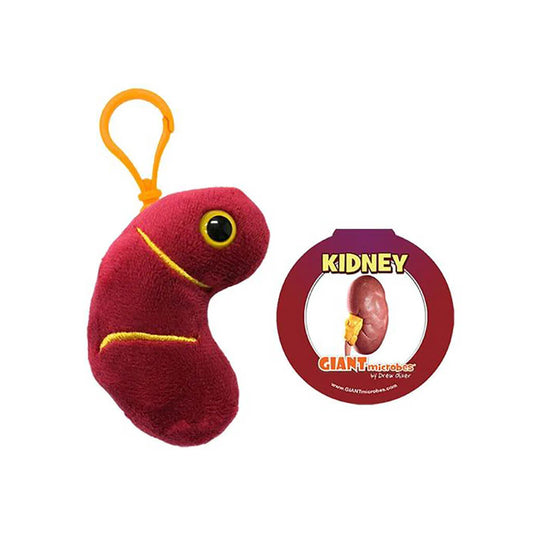 Kidney Giant Microbes Plush Keychain