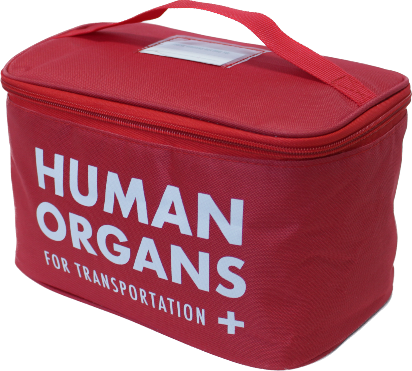 Human Organs Lunch Bag