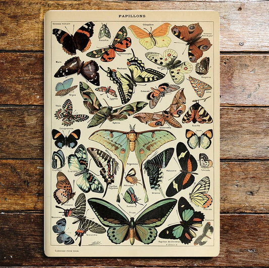 Butterfly & Moth Metal Sign Plaque
