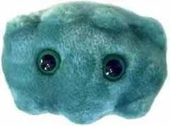 Bad Breath (Porphyromonas gingivalis) Giant Microbes Plush