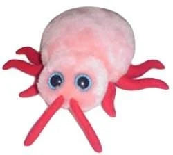 Bed Bug (Cimex lectularius) Giant Microbes Plush