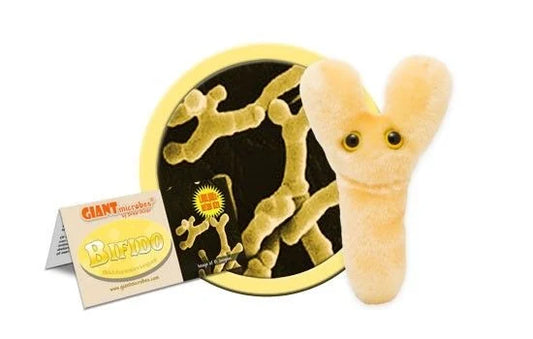 Bifido (Bifidobacterium longum) Giant Microbe Plush