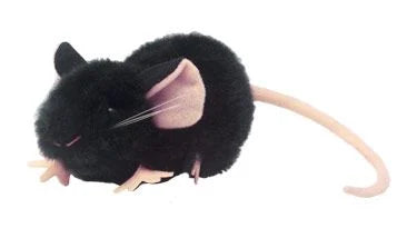 Black Lab Mouse (C57BL/6) Giant Microbes Plush