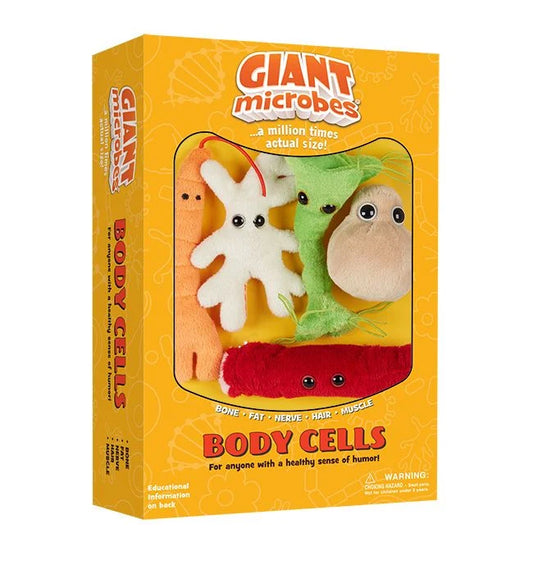 Body Cells