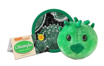 Chlamydia (Chlamydia trachomatis) Giant Microbes Plush