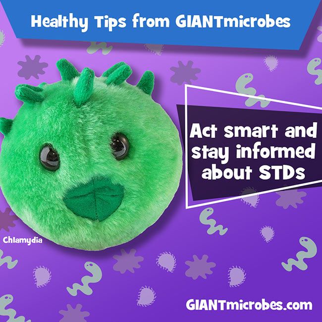 Chlamydia (Chlamydia trachomatis) Giant Microbes Plush