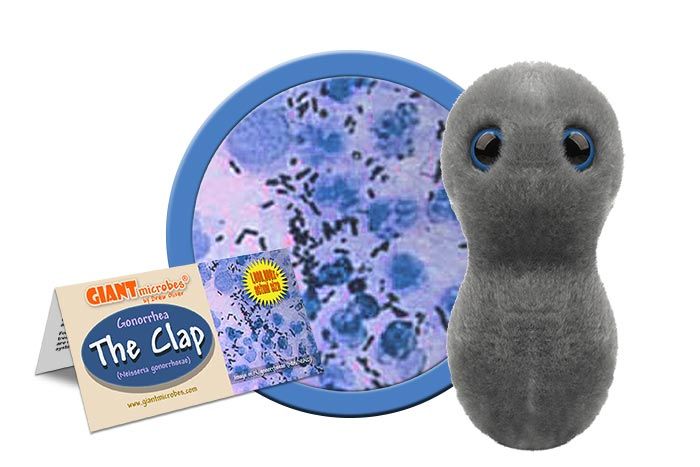 Clap - Gonorrhea (Neisseria gonorrhoeae) Giant Microbes Plush