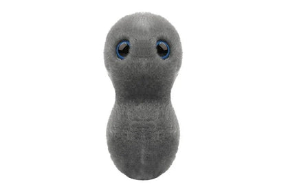 Clap - Gonorrhea (Neisseria gonorrhoeae) Giant Microbes Plush