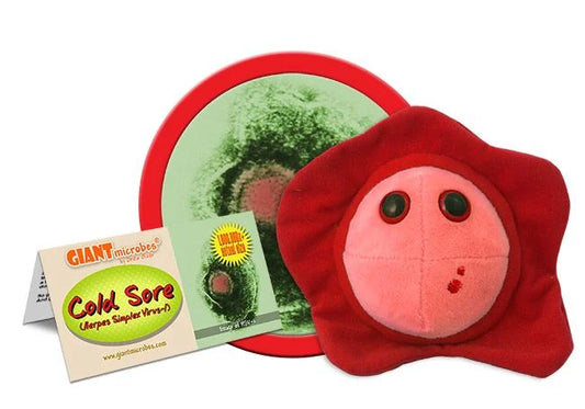 Cold Sore (Herpes simplex virus-1) Giant Microbes Plush