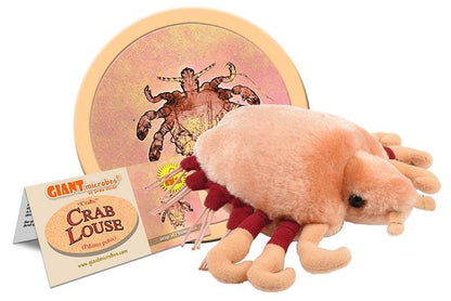 Crab Louse (Pthirus pubis) Giant Microbes Plush