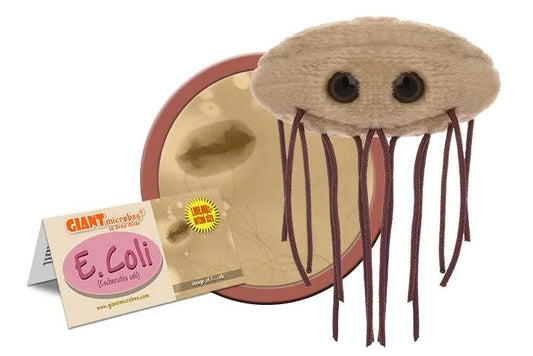 E. coli (Escherichia coli) Giant Microbes Plush