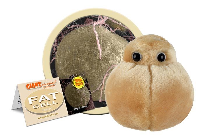 Fat Cell (Obesity) Giant Microbes Plush