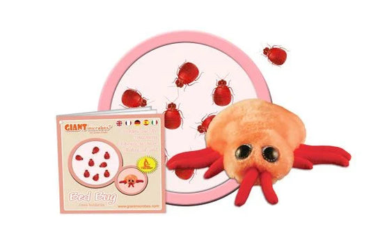 Bed Bug (Cimex lectularius) Giant Microbes Plush