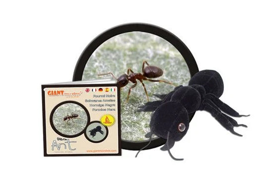 Black Ant (Lasius niger) Giant Microbe Plush