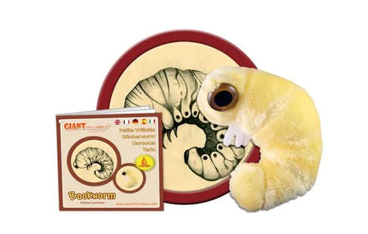 Bookworm (Anobium punctatum) Giant Microbes Plush