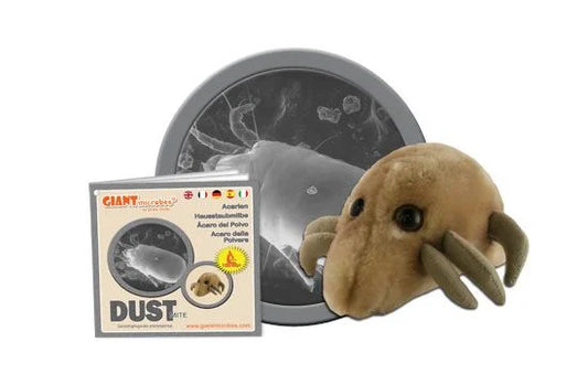 Dust Mite (Dermatophagoifes pteronyssinus) Giant Microbes Plush