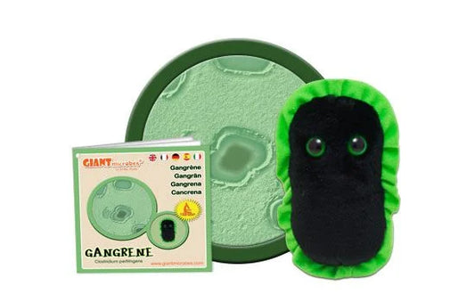 Gangrene (Clostridium perfringens) Giant Microbes Plush