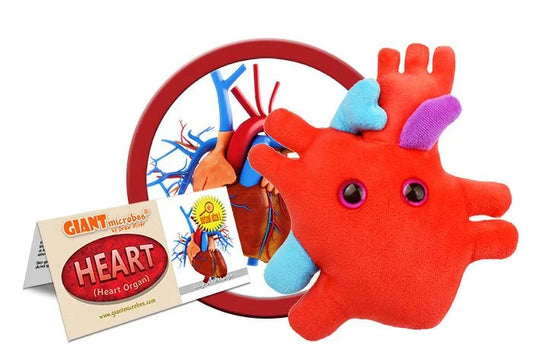 Heart Organ Giant Microbes Plush