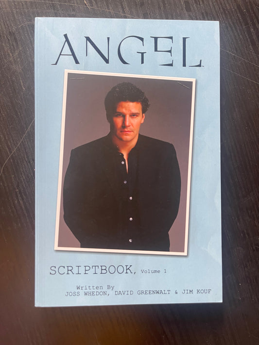 Angel Scriptbook: Volume 1