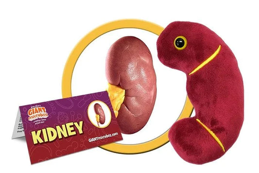 Kidney Organ Giant Microbes Plush