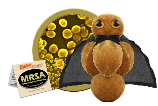 MRSA (Methicillin-Resistant- staphylococcis aureus) Giant Microbes Plush