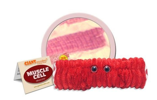Muscle Cell (Myocyte) Giant Microbes Plush