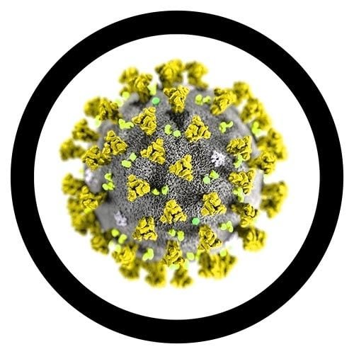 Coronavirus COVID-19 (SARS-CoV-2) Giant Microbes Plush