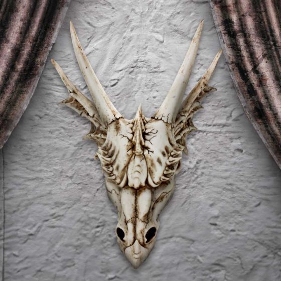 The Last Dragon 32cm Skull