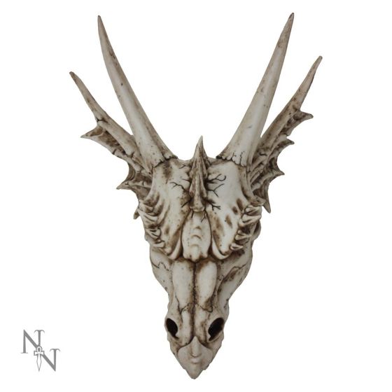 The Last Dragon 32cm Skull