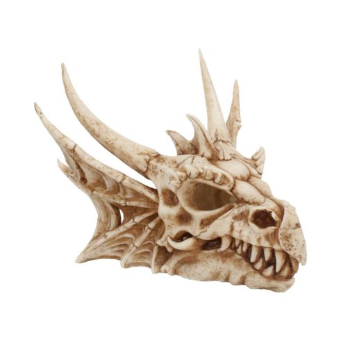 Lumo the Dragon 25cm Luminescent Skull